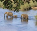 Cape Town Kruger and Garden Route