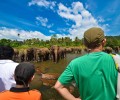 Explore Sri Lanka