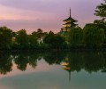 Japan Panorama