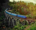 Sri Lanka Exclusive South to North: Beaches, Temples, Wildlife & Tea Plantations
