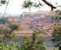 Taste Of China