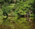Beaches and Nature with Santa Teresa