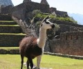 Highlights Of Peru