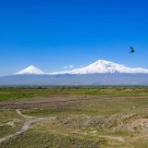 Ararat