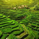 Banaue