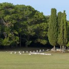 Brijuni National Park