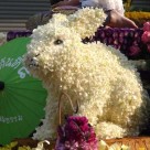 Chiang Mai Flower Festival