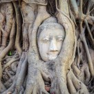 Total Thailand: Culture, Temples, Beaches, Wildlife & Traditions