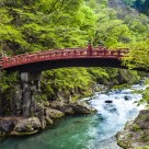 Discover Japan: Cherry Blossoms, Temples, Culture & Landscapes