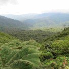 Costa Rica with Panama: Rainforests, Volcanoes, Beaches, Wildlife & Culture