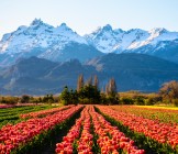 Amazing Patagonia Argentina