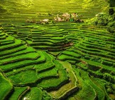 Batad Rice Terraces - Lumle holidays