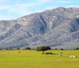 Cape Town Kruger and Garden Route