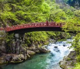Forest in Japan - Lumle holidays