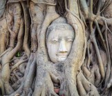 Highlights Of Thailand