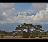 Landscape with Trees and Snowcapped Mountain in Clouds