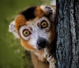 Maki - Lumle holidays