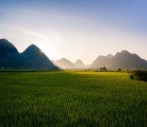 Sapa Valley farming field - Lumle holidays