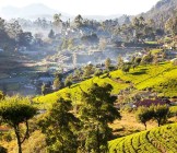 Sri Lanka landscapes - Lumle holidays