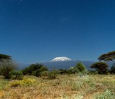 Starry Night Over Mount Kilimanjaro from Kenya