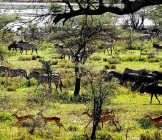 Tanzania - Lumle holidays