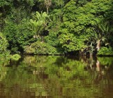 Tortuguero National Park - Lumle holidays