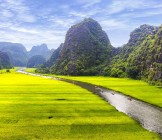 Rice field and river, NinhBinh, vietnam landscapes