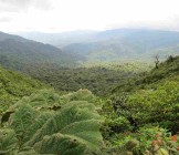 Highlights Of Costa Rica