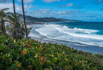 Palm Island Resort and Spa and Barbados