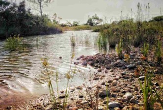 Luxury Belize: Rainforests, Beaches, Culture, Wildlife & Nature