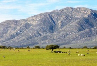 Essence of Southern Africa: Safaris, Wildlife, Deserts, Waterfalls, Cities, Coastlines & Culture