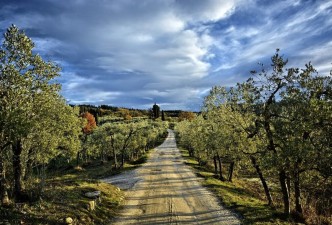 Tuscany Escape, Semi-Private Tour: Vineyards, Palaces, Culture & Countryside