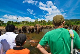 Wild Sri Lanka: Mammals, Birds & Ancient Wonders