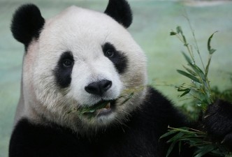 China’s Tea-Road & Tibetan Fringes: Culture, Monasteries & Mountain Vistas