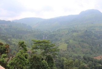 Nuwara Eliya