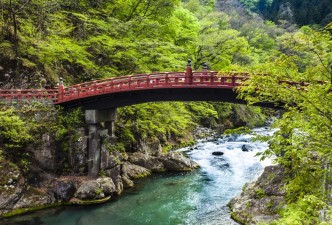 Discover Japan: Cherry Blossoms, Temples, Culture & Landscapes