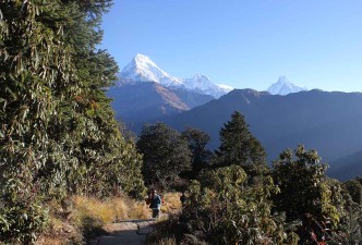 Ghorepani Poon Hill Trek