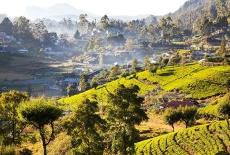 Sri Lanka in Style: Ancient Capitals, Tea Country & Coast