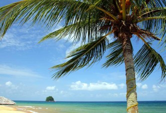 Borneo Escapade