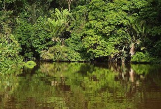 Beaches & Nature with Santa Teresa: Sun, Surf, Wildlife & Relaxation