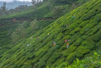 Hidden Treasures of North Kerala: Hills, Backwaters & Coast