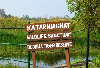 Wild Dudhwa & the Terai: Tigers, Rhinos & River Wildlife