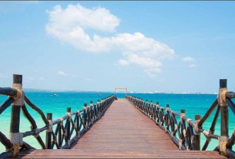 Savannah to Spice Island: Kenya Safari & Zanzibar Escape