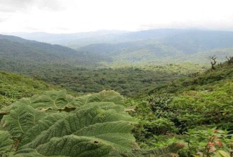 Luxury Costa Rica: From Coffee Highlands to Ocean Paradise