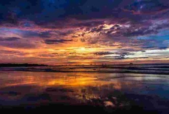 Beaches and Nature with Tambor: Beaches, Wildlife, Rainforests, Nature & Culture