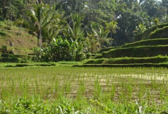 Kuala Lumpur, Singapore & Bali Discovery: Culture, Nature & Beaches