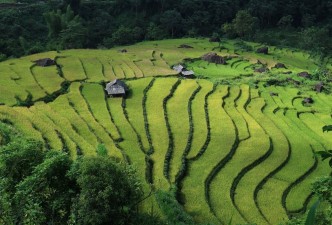 Luxury Vietnam & Cambodia: Culture, Nature & Temples