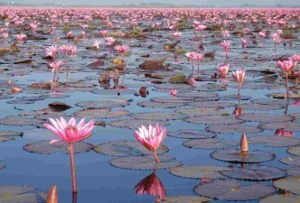 Vietnam & North Isaan: Culture, Mekong, Temples, Villages & Nature