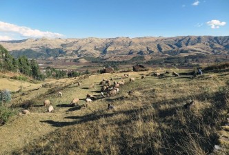 Peru: Amazon, Sacred Valley & Short Inca Trail (Sun Gate Entry)
