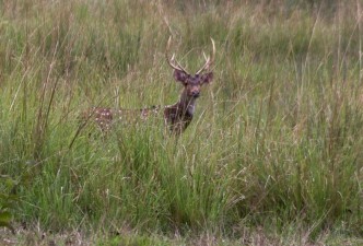 Unforgettable Nepal & India: Temples, Palaces, Sacred Peaks & Culture